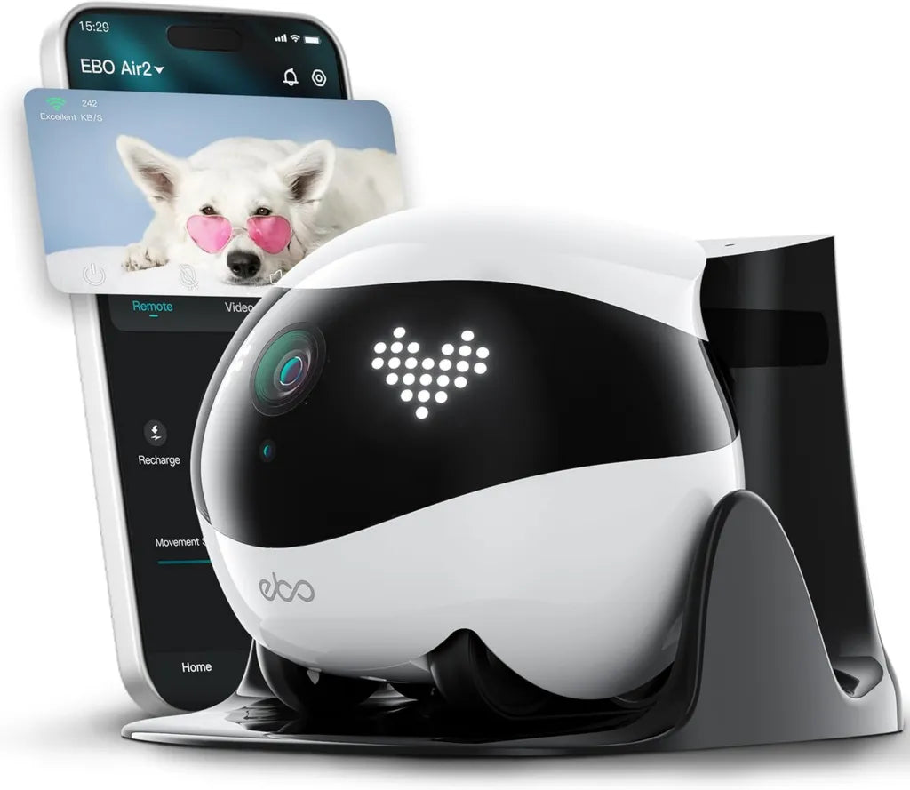 Robot familial Enabot EBO Air 2 avec caméra mobile 2K pour animaux de compagnie